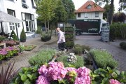bloemen en planten vvbvanbree     1165